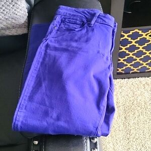PAIGE- Roxie Capri size 31